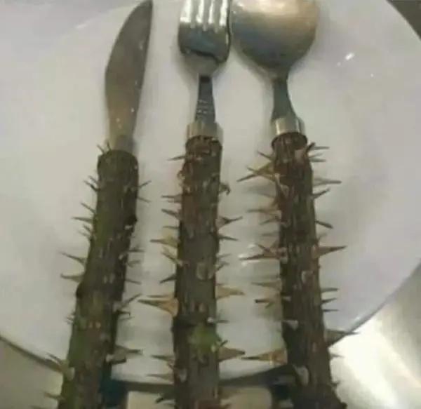 Diet Cutlery - Predola