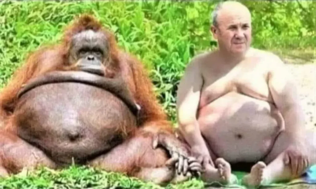 Is evolution proven or not - Predola