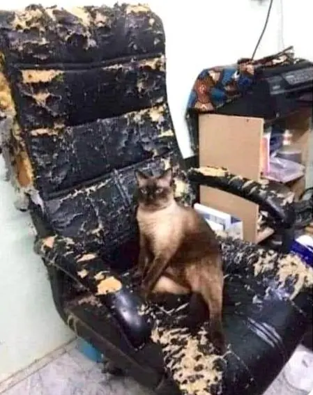 Selling a designer chair