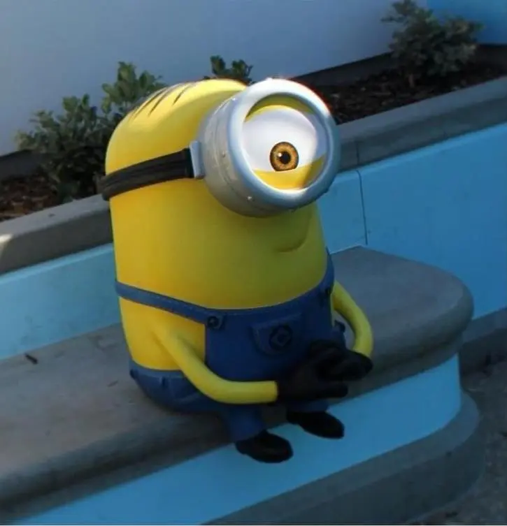 Zašto bolan sjediš na prozoru